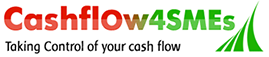 Cash Flow for SME's logo