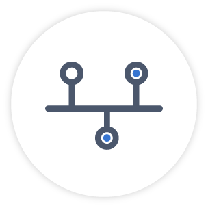 Director information locked